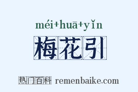 梅花引是什么意思的图片